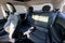 2020 MINI Hardtop Cooper