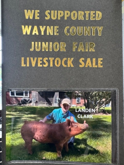 Wayne County 4-H / Junior Fair